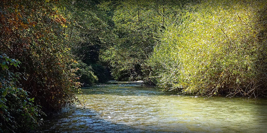 Chiude la stagione di pesca sui tratti NoKill della Valnerina